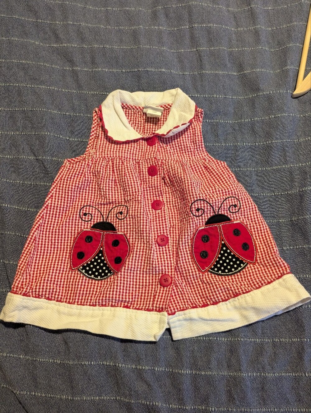Samara Red Gingham Ladybug Sleeveless Kids Dress with White Collar, 18m